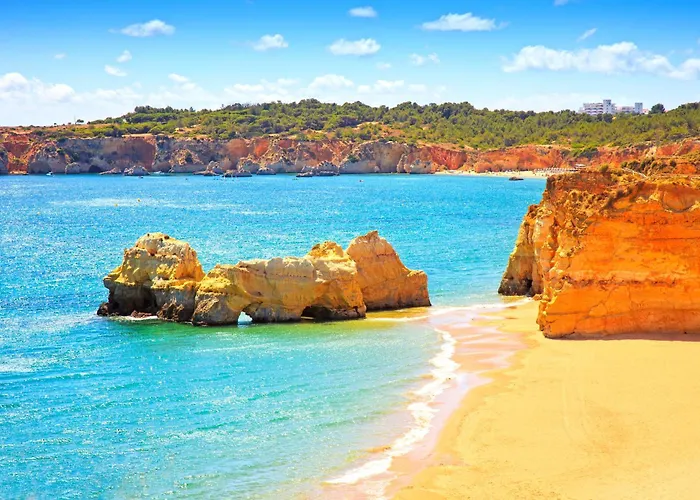 Homes Da Rocha Cozy 50 M Away From The Ocean Apartment *